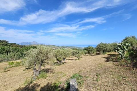 Terra a Collesano, Palermo, Collesano - € 16.000 | Ref: 10638 - foto 2